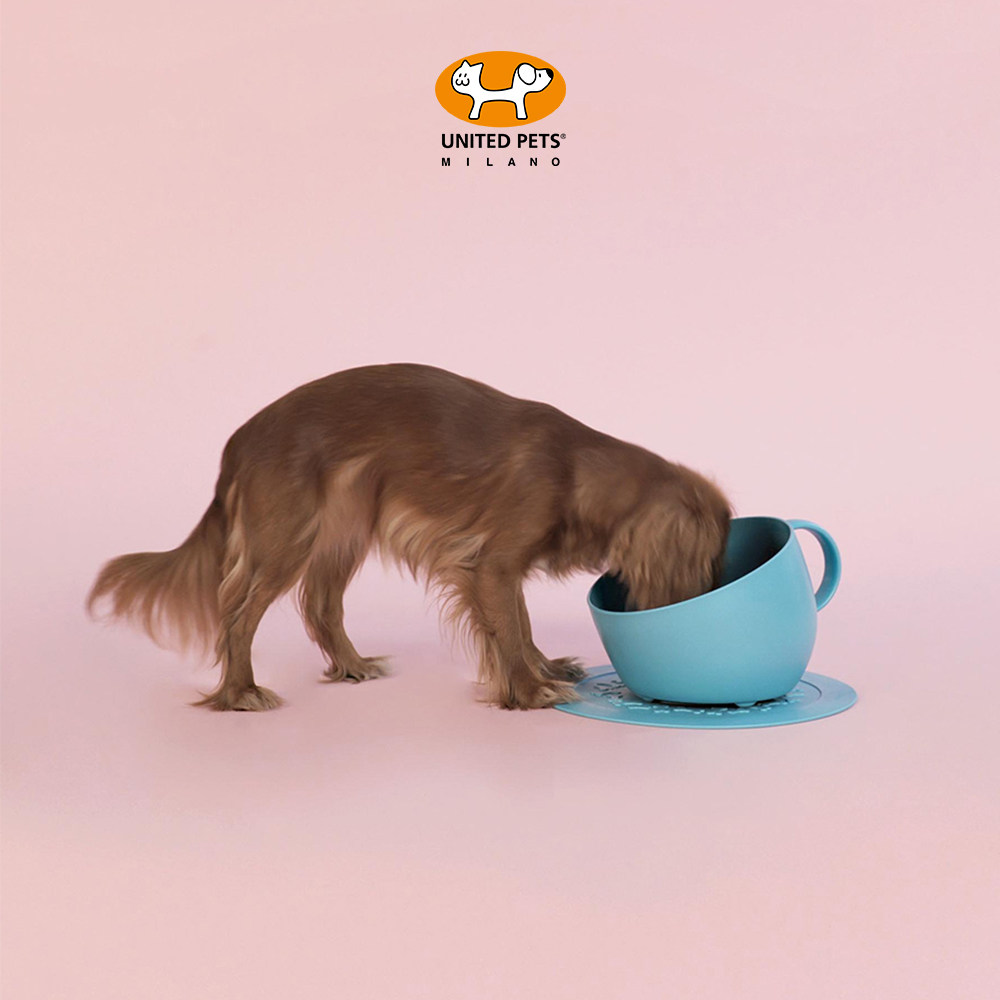 UnitedPets咖啡杯宠物狗碗碗垫套装食盆水碗意大利原装进口