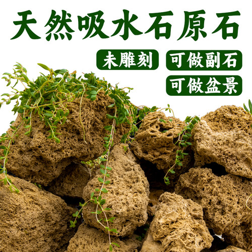 天然吸水石原石上水石毛料碎石头
