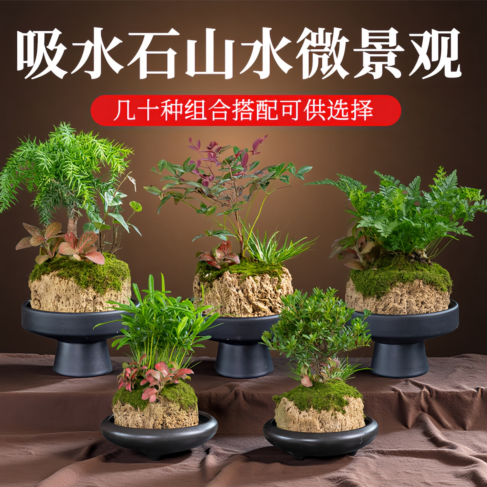 天然吸水石上水石花盆微景观赏多肉文竹原石附石菖蒲专用石槽花盆