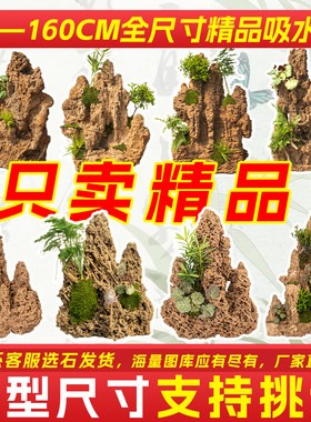 精品上水石吸水石盆景鱼池假山微景观装饰天然假山石头造景原石