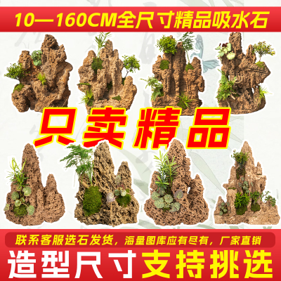 精品上水石吸水石盆景鱼池假山微景观装饰天然假山石头造景原石