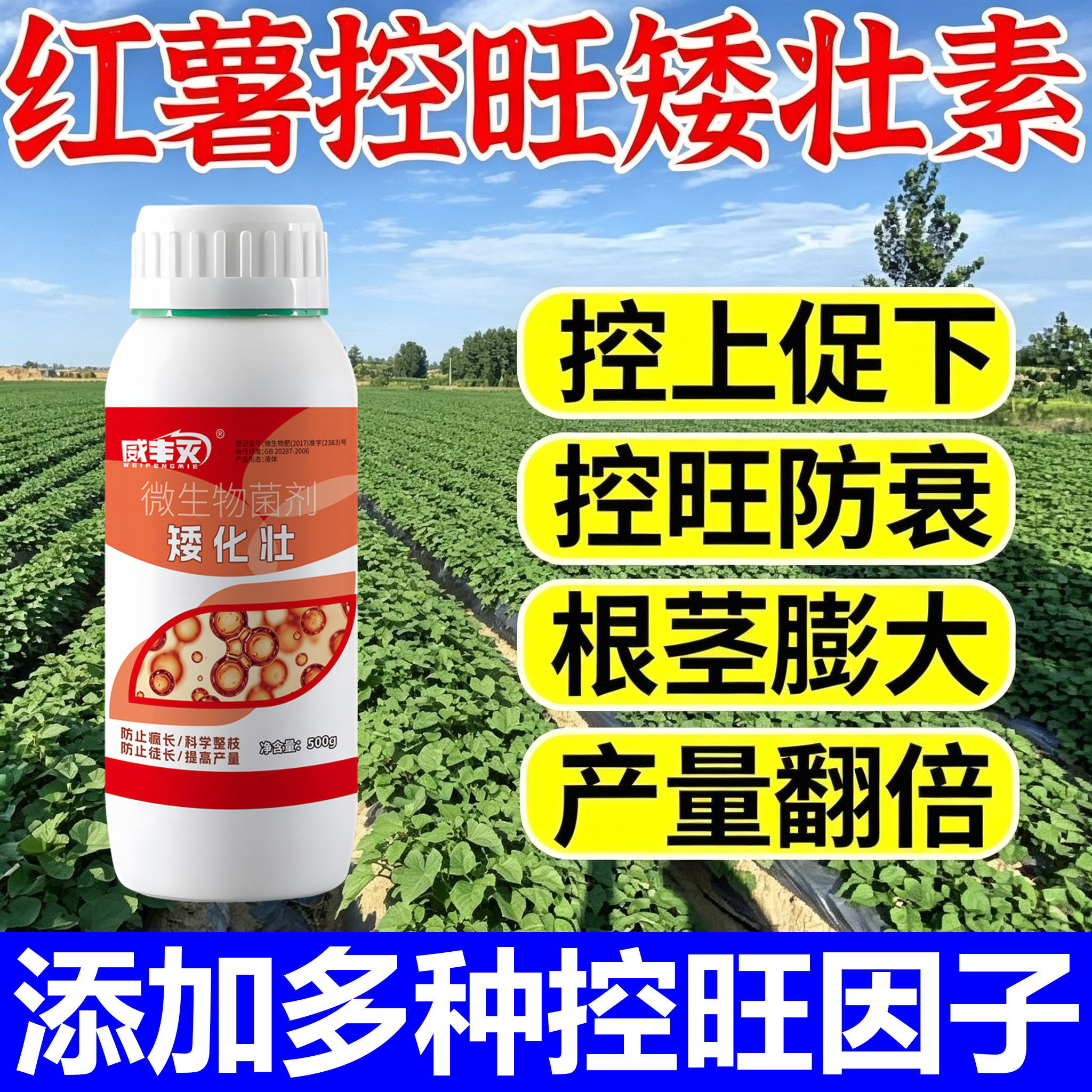 红薯不打顶】红薯控旺膨大素控秧剂矮化灵只长红薯不长叶提高产量