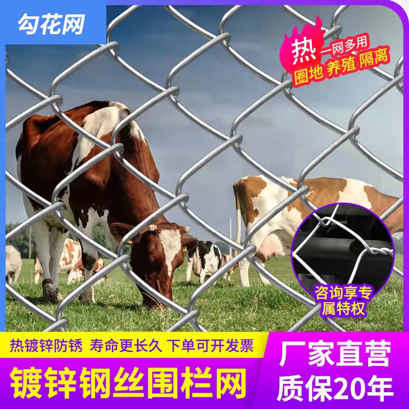热镀锌铁丝养殖鸡鸭果园围网防锈