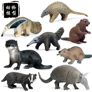实心仿真野生动物模型玩具套装河狸 小动物儿童玩具模型