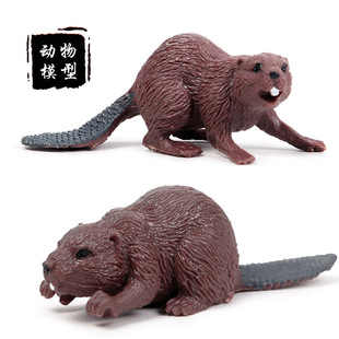 实心仿真野生动物玩具模型套装河狸动物园儿童塑胶玩具手办