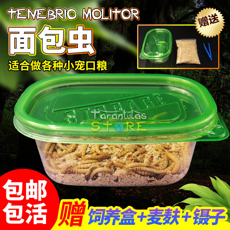 面包虫黄粉虫活体蜘蛛蝎子乌龟守宫角蛙鸟热带鱼金鱼活饵饲料
