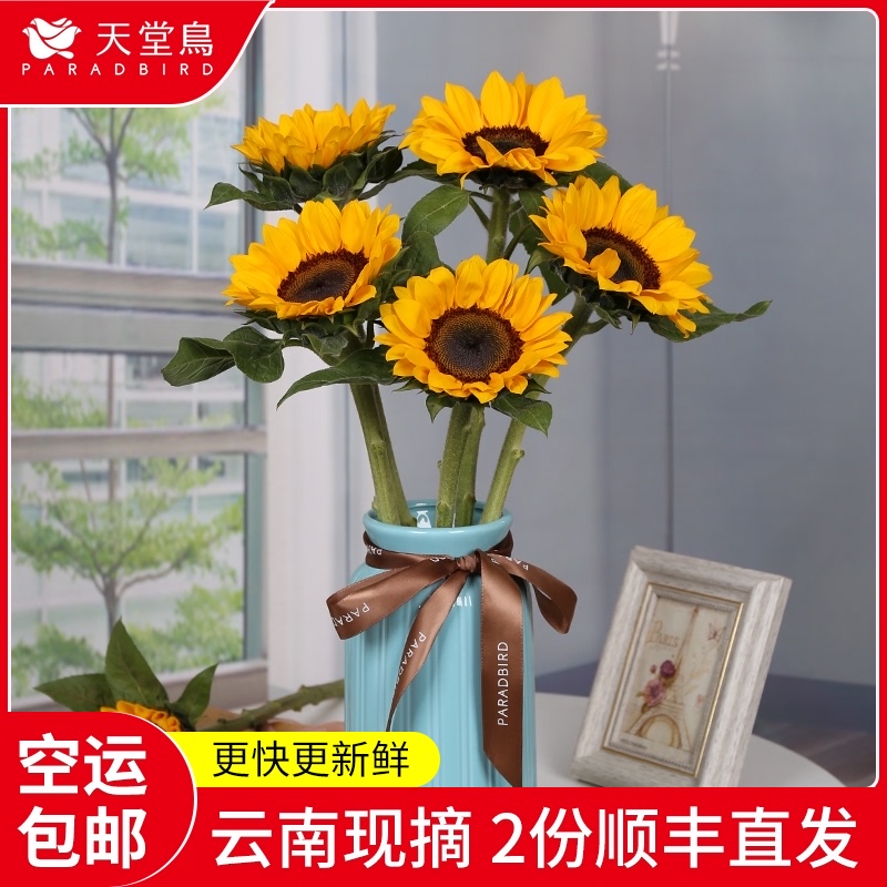 向日葵鲜花花束太阳花云南基地鲜花直发速递同城直批