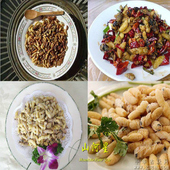 新鲜活体油炸蜂蛹生态马蜂虫黄蜂胡蜂树蜂地蜂土蜂子毒蜂野生味道