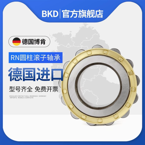 德国bkd进口rn304圆柱滚子轴承