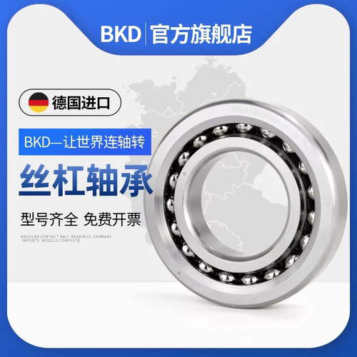 德国进口bs3062滚珠丝杠轴承