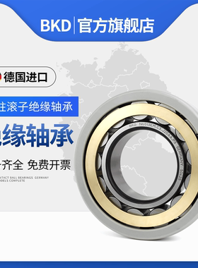 BKD德国进口NU224EM电磁绝缘轴承226铜保2000V轴承3000V内外绝缘