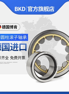 德国BKD进口轴承NU344/348/352/356/360EM/C3 P5 P4