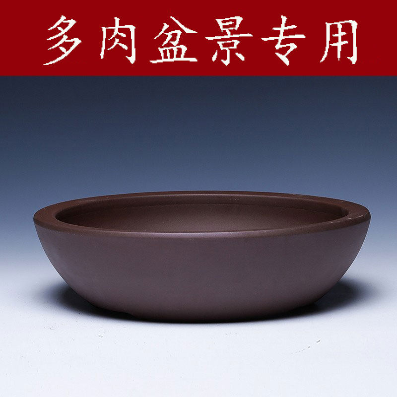 紫砂花盆陶瓷大号口径透气小叶簕竹多肉专用造景矮圆形浅口盆景盆