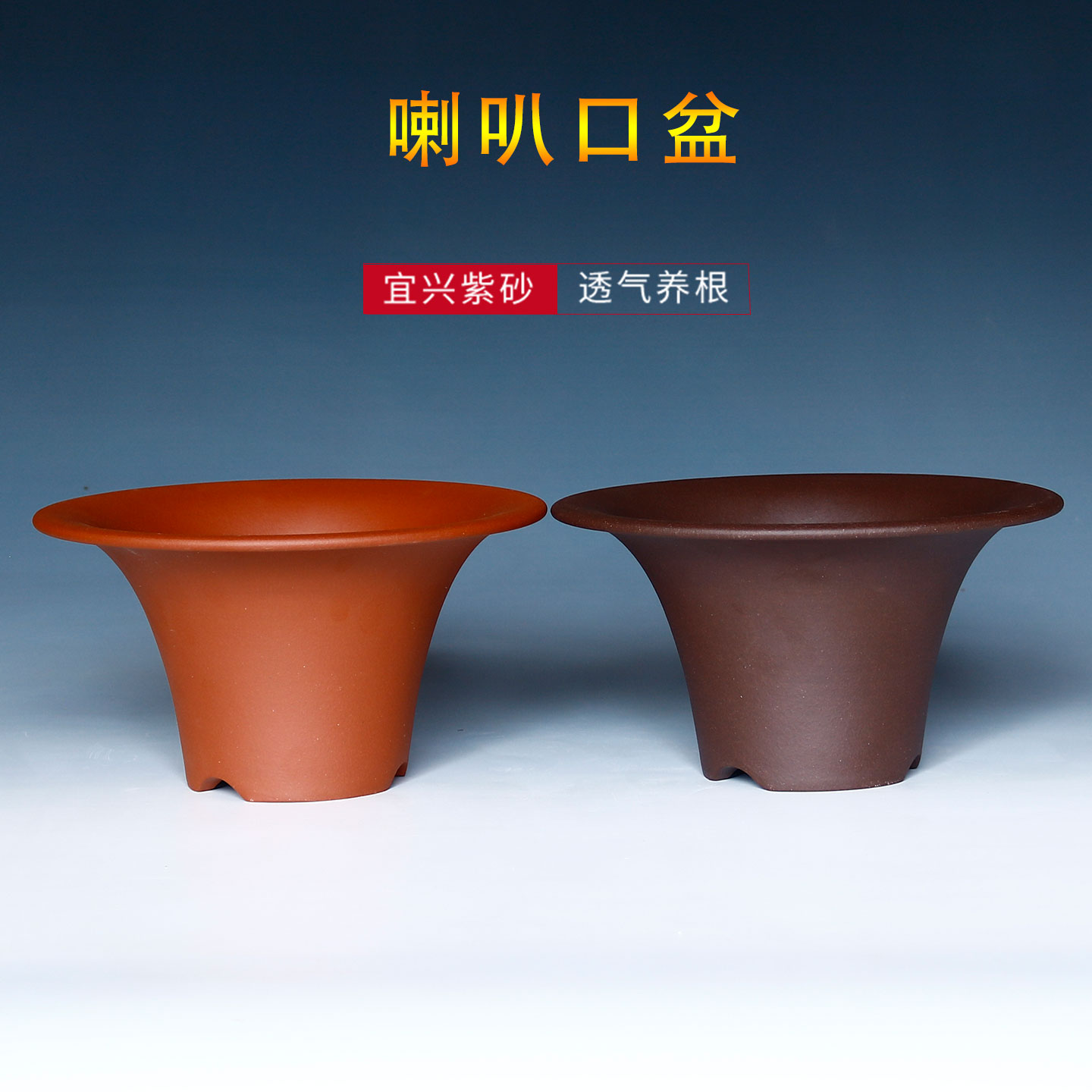 亦齋轩喇叭口兰花专用花盆图片