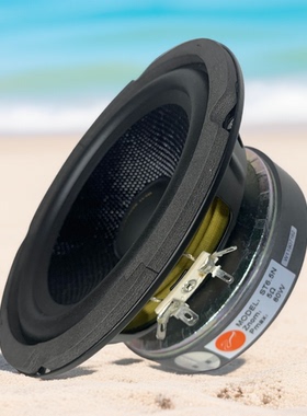Hivi/惠威 ST6.5N/ST8/ST10/ST12低音喇叭扬声器家用HIFI发烧单元