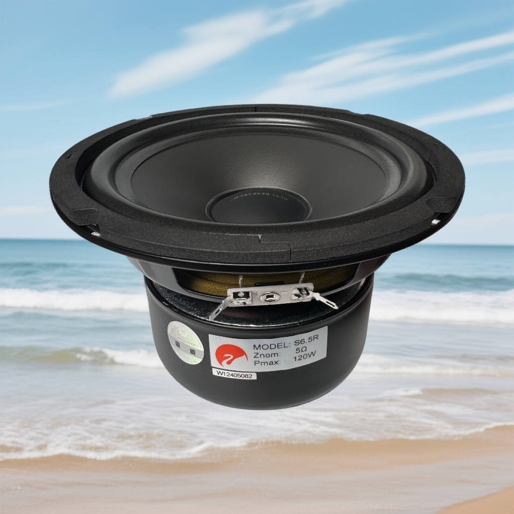 Hivi/惠威S6.5R低中音扬声器喇叭单元家用音响HiFi音箱发烧/只