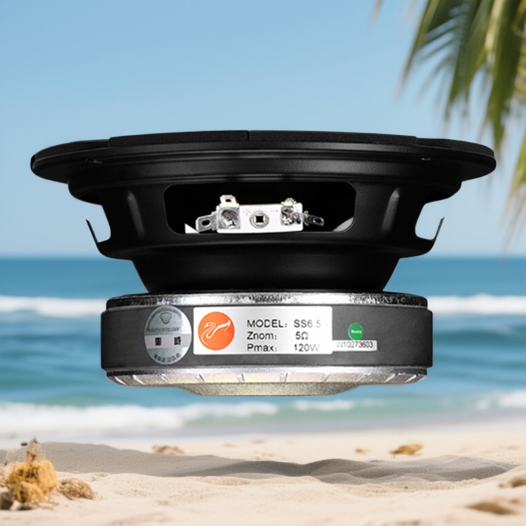 Hivi/惠威SS6.5 中低音家用喇叭6.5寸发烧HiFi音响音箱直径167mm