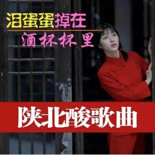 陕北民歌酸曲民族歌谣山歌情歌怀旧经典车载MP3 MP4视频U盘内存卡