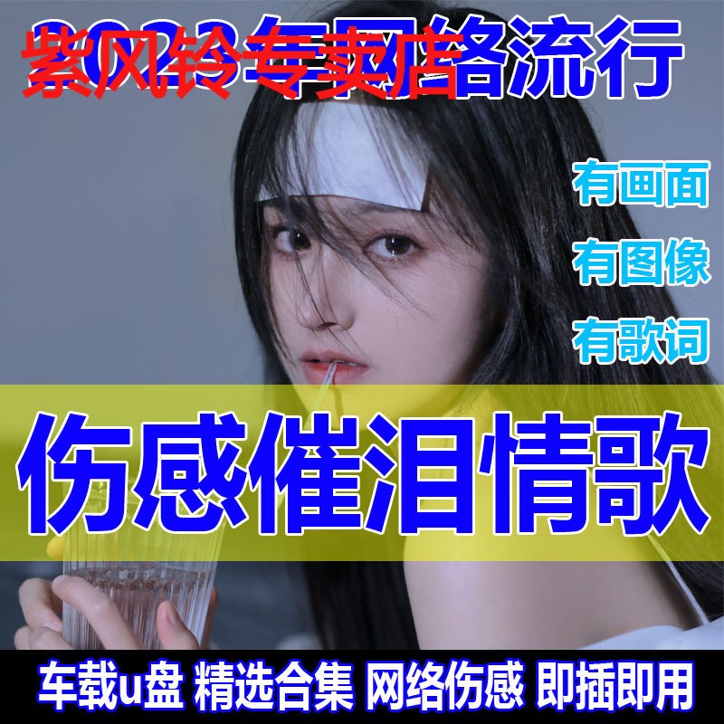 2024抖音新款歌曲MP3车载u盘音乐流行伤感情歌u盘高音质车用优盘