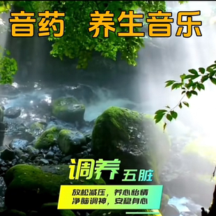 五音养生音乐U盘五音疗法轻音乐MP3纯静心优盘无损