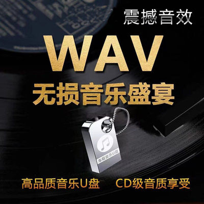 无损WAV格式汽车载U盘发烧