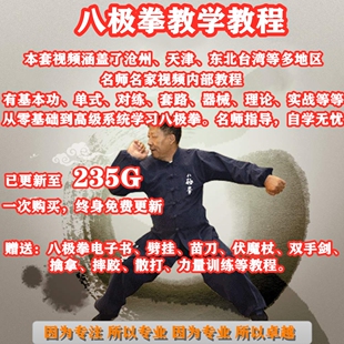 八极拳视频教程各派名家理论拳术套路器械内部讲座武术教学课程