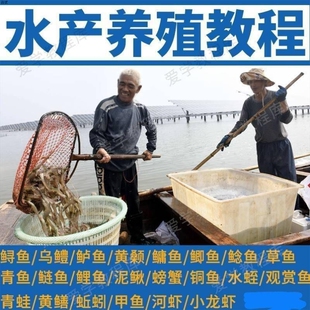 水产养殖技术视频教程u盘水蛭黄鳝螃蟹龙虾泥鳅鱼饲养管理方法U盘