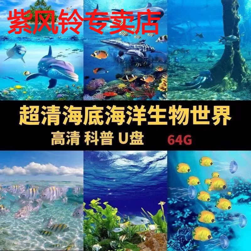 海底世界记录片U盘海洋生物儿童百科知识科普超高清1280P视频优盘