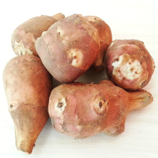 洋姜 脆甜水果姜生吃红皮洋姜腌泡菜鬼子姜菊芋 新鲜现挖田野当季