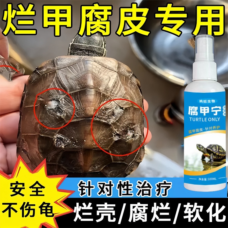 腐皮乌龟治严重腐皮烂身腐甲咬伤白点烂壳白斑真菌乌龟腐皮液
