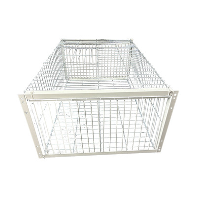 天落笼户外家用屋顶厂房回收鸽子笼活络撞门信鸽自动门进鸽子