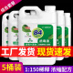 家用室内除菌八四浓缩型 84消毒液大桶装 杀菌消毒水衣物漂白 5桶装
