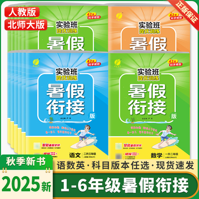 2025春雨实验班暑假衔接一升二升三四五六年级上下册语文数学人教北师版全套英语人教译林江苏教版同步训练暑假作业一本通提优训练