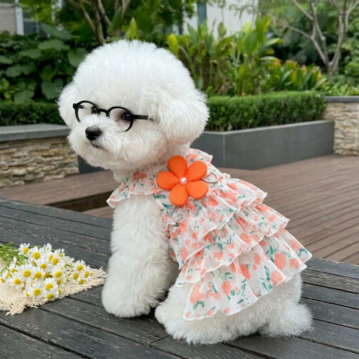 狗狗衣服薄款春夏服装狗狗猫咪衣服防掉毛公主碎花百褶裙宠物裙子