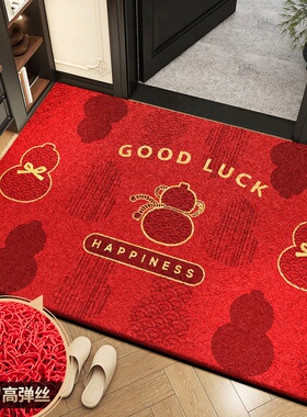 入户门口地垫玄关高端红色丝圈门垫进门家用2025新款耐脏防滑地毯