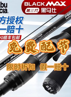 阿布bmax3代淡海水通用远投水滴轮套装双竿稍直枪柄三路亚竿鱼竿