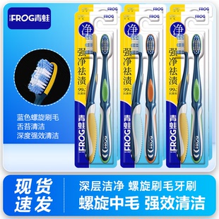 青蛙牙刷987螺旋中硬毛刷毛深层高效清洁男士祛牙渍烟渍防蛀舌苔