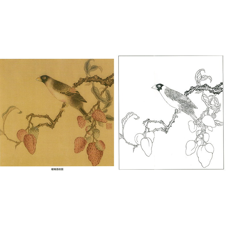 花鸟国画工笔画白描底稿临宋佚名《蜡嘴荔枝图》小品初学者练习稿