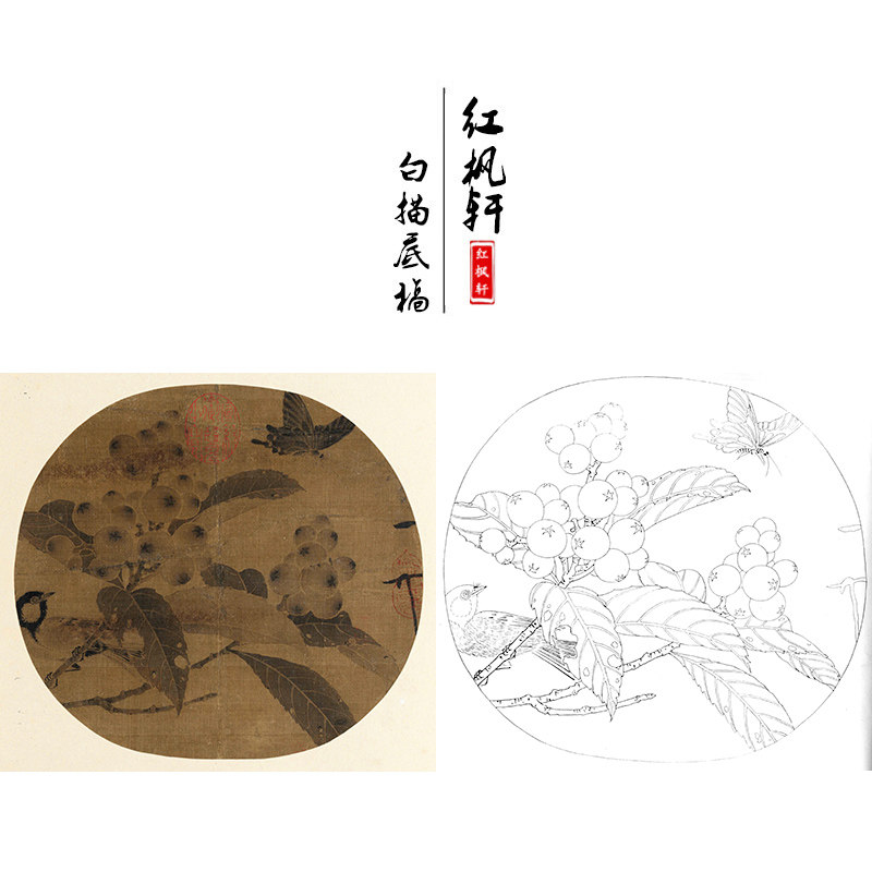 临宋赵佶《枇杷山鸟图》工笔画白描底稿花鸟国画小品初学练习透稿
