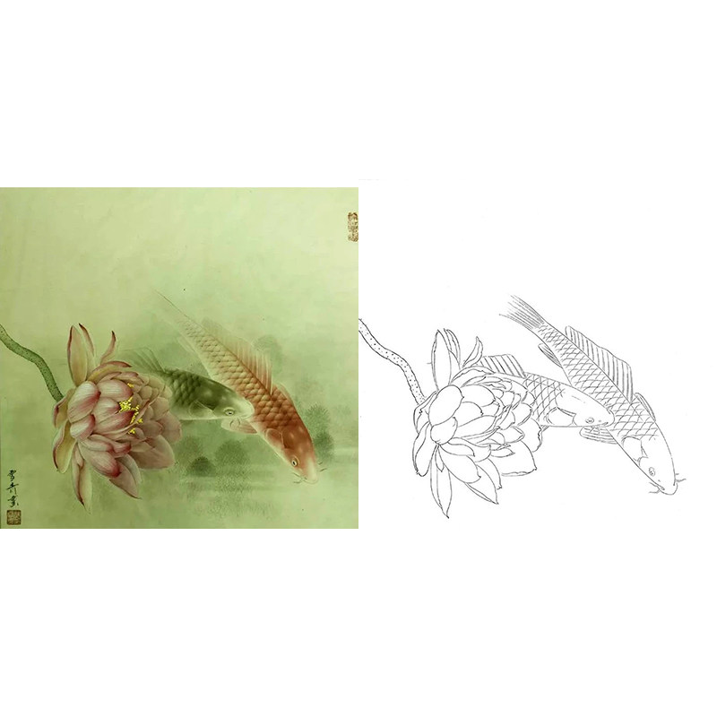 【有步骤】工笔画白描底稿临龚雪青鲤鱼荷花小品《同游图》练习稿