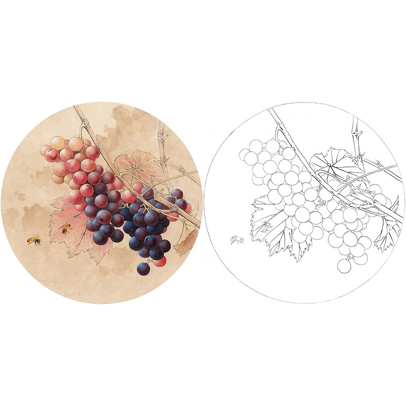 【有步骤】工笔画白描底稿葡萄小品《草龙珠》衍达花鸟国画临摹稿