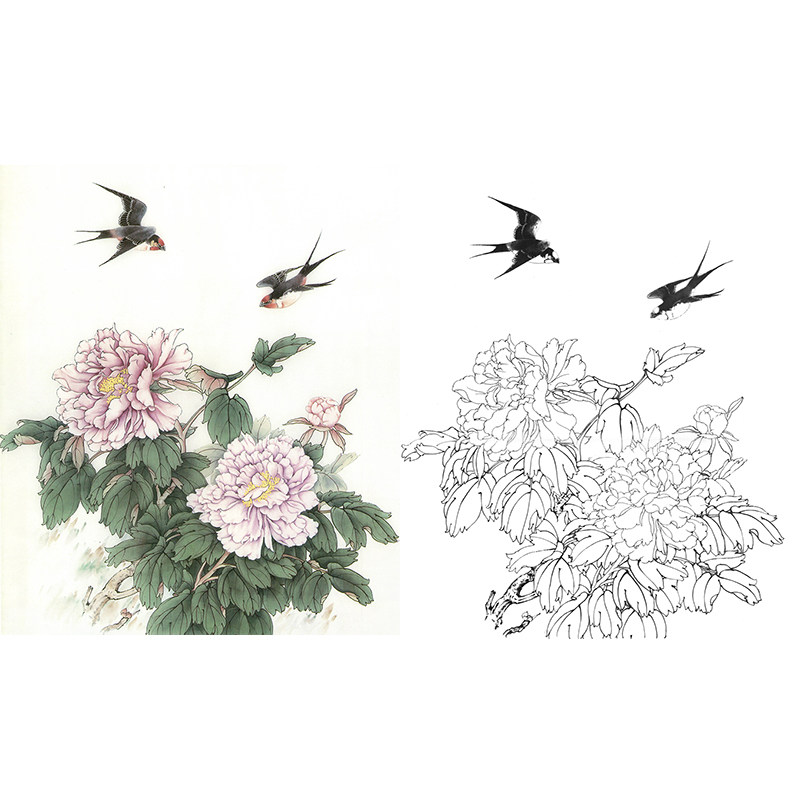 【有步骤】工笔画牡丹白描底稿张秋怡花鸟燕子《春暖花开》打印稿