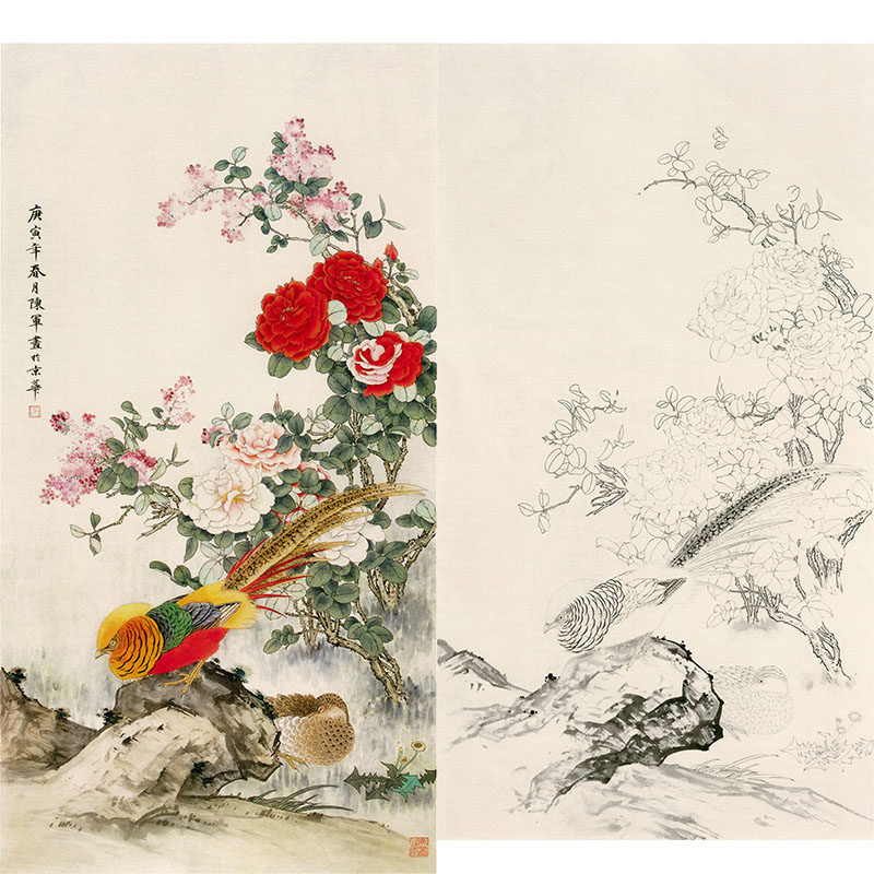 【有步骤】临陈军国画《花艳春早》锦鸡茶花鸟素材工笔画白描底稿
