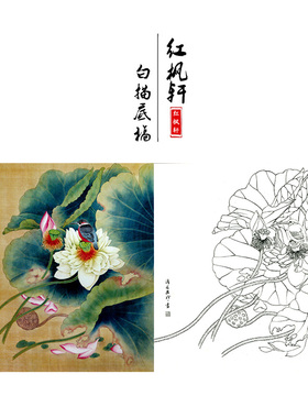 工笔画白描底稿小民花鸟相望