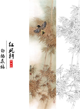 国画花鸟白描底稿四条牡丹