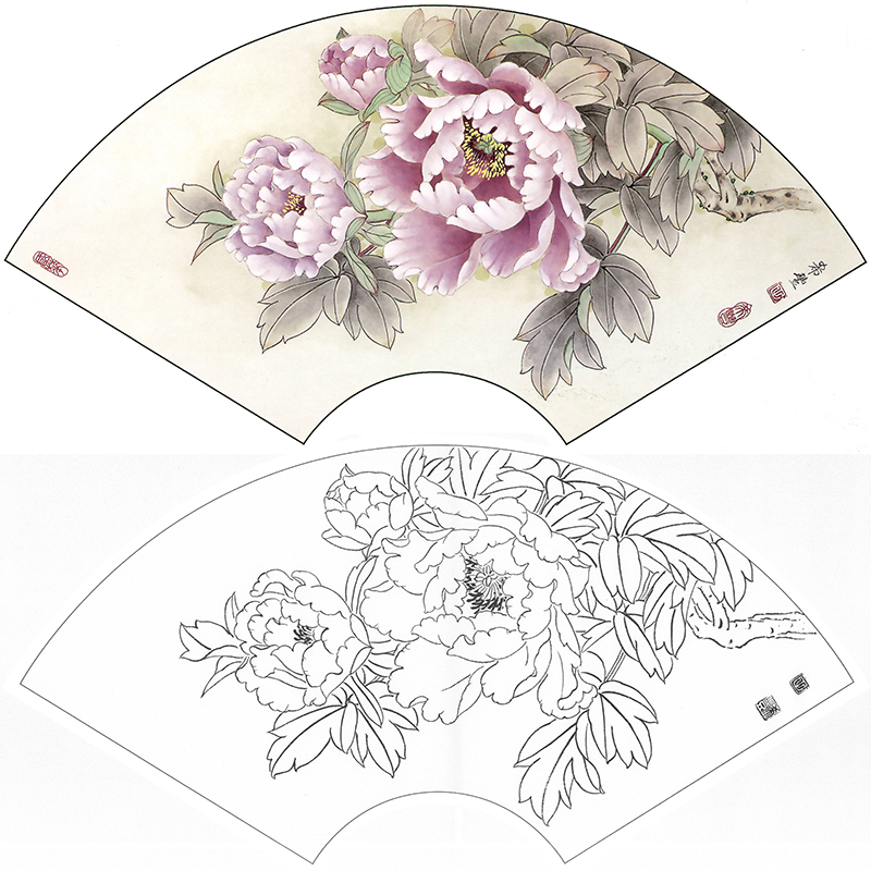 工笔画白描底稿花鸟扇形临田希丰《含露芳姿》牡丹国画线描打印稿