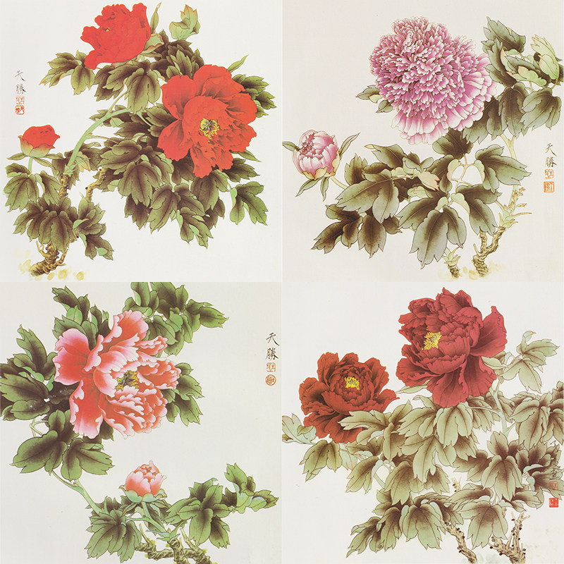 【有步骤】临王天胜国画牡丹套装花鸟斗方小品练习工笔画白描底稿