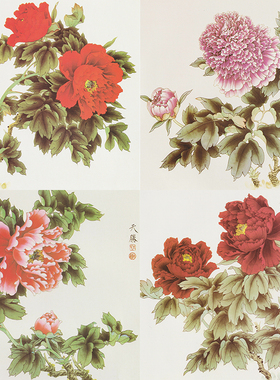 有步骤花鸟国画白描底稿小品牡丹