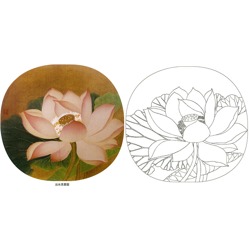 临宋花鸟国画工笔画白描底稿《出水芙蓉图》佚名荷花小品初学过稿