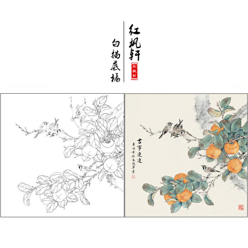 【有步骤】工笔画白描底稿柿子《吉事连连》临陈军花鸟国画线描稿